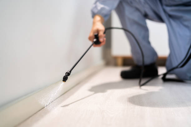Licensed Termite Control service in Shawnee, OK - Show Me Pest Control